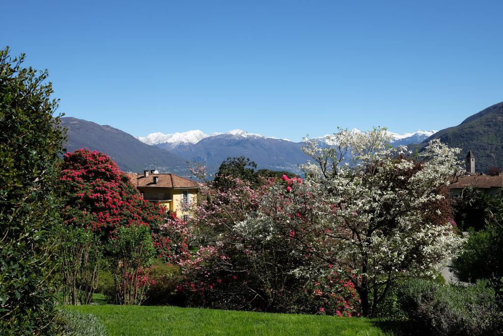 Park Hotel Villa Belvedere Cannobio Exteriér fotografie