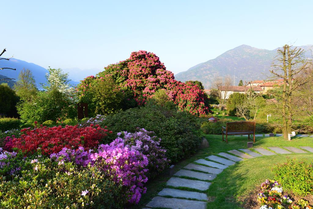 Park Hotel Villa Belvedere Cannobio Exteriér fotografie